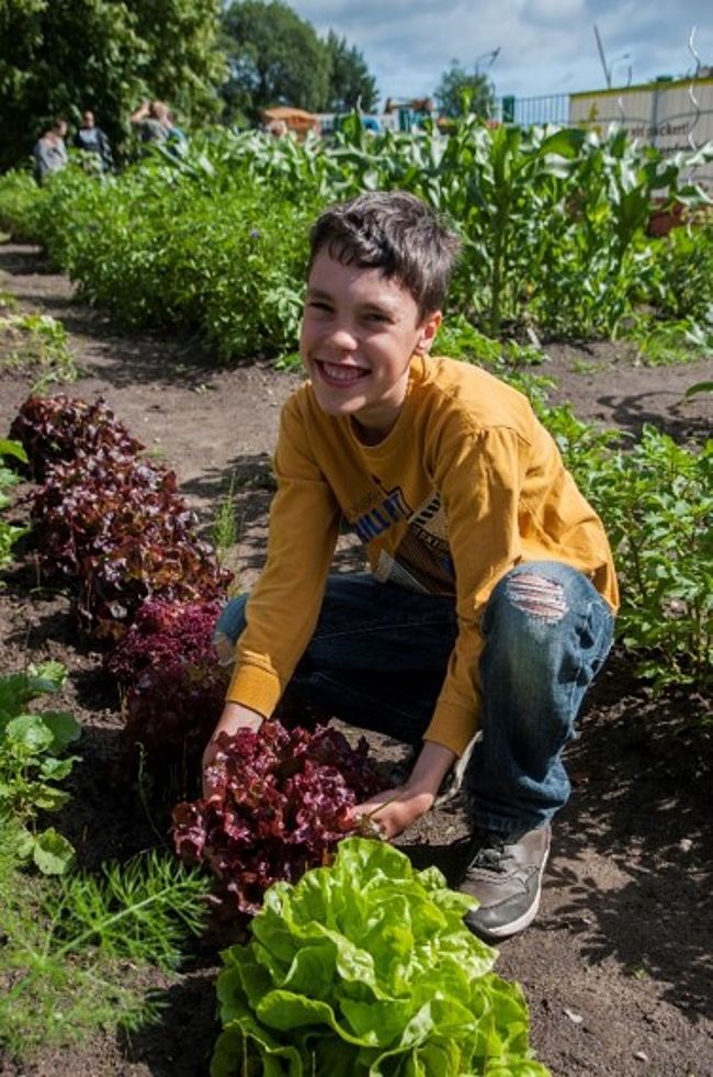 Engagement macht Schule - Gemüsekiste