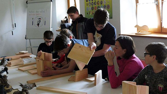 Volunteer Ranger Programm