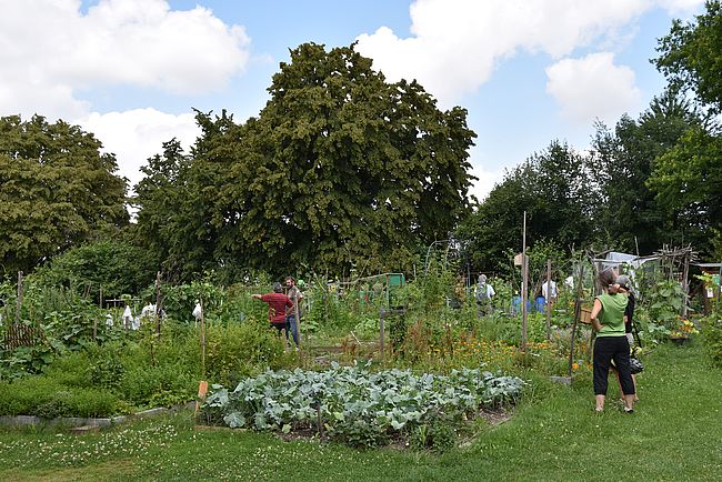Grow Up! Interkultureller Garten Augsburg e. V.