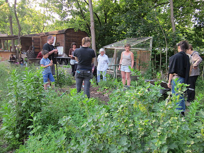UFER-Gemeinschaftsgärten und Bildungsprojekte