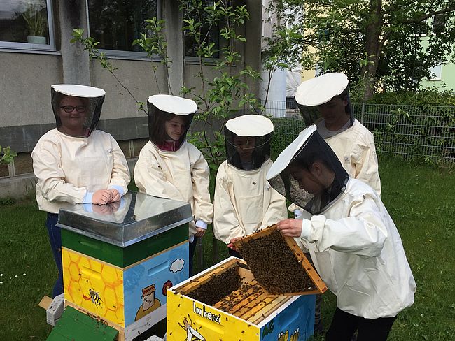 Schilly Summ - Schulimkerei