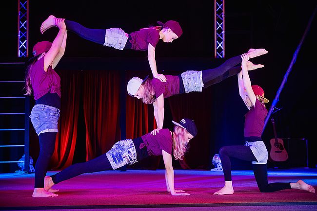 Circus Projekt Waldoni e. V.