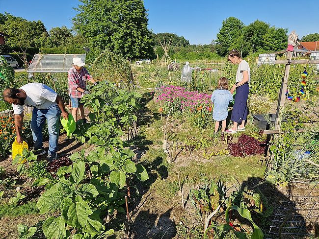 Gemeinschaftsgarten