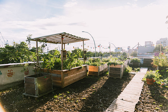 Green Pauli by STADTGEMÜSE