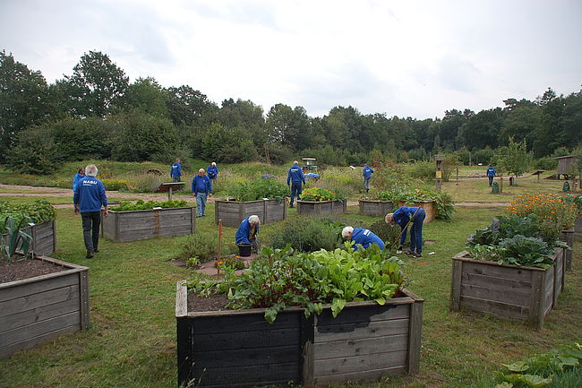 NABU Rotenburg: Der translozierte Krummsparren-Stall als Initialzündung für vielfältige Erweiterungen des Mitmach- und Erlebnisgartens MEGa am Hartmannshof