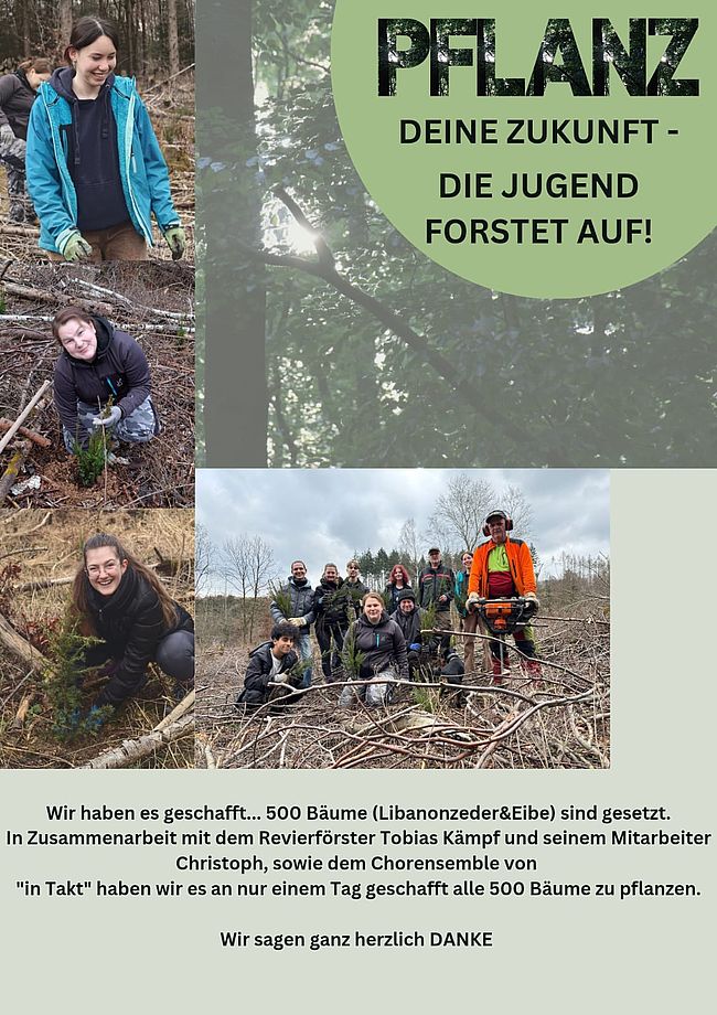 Pflanz deine Zukunft - die Jugend forstet auf