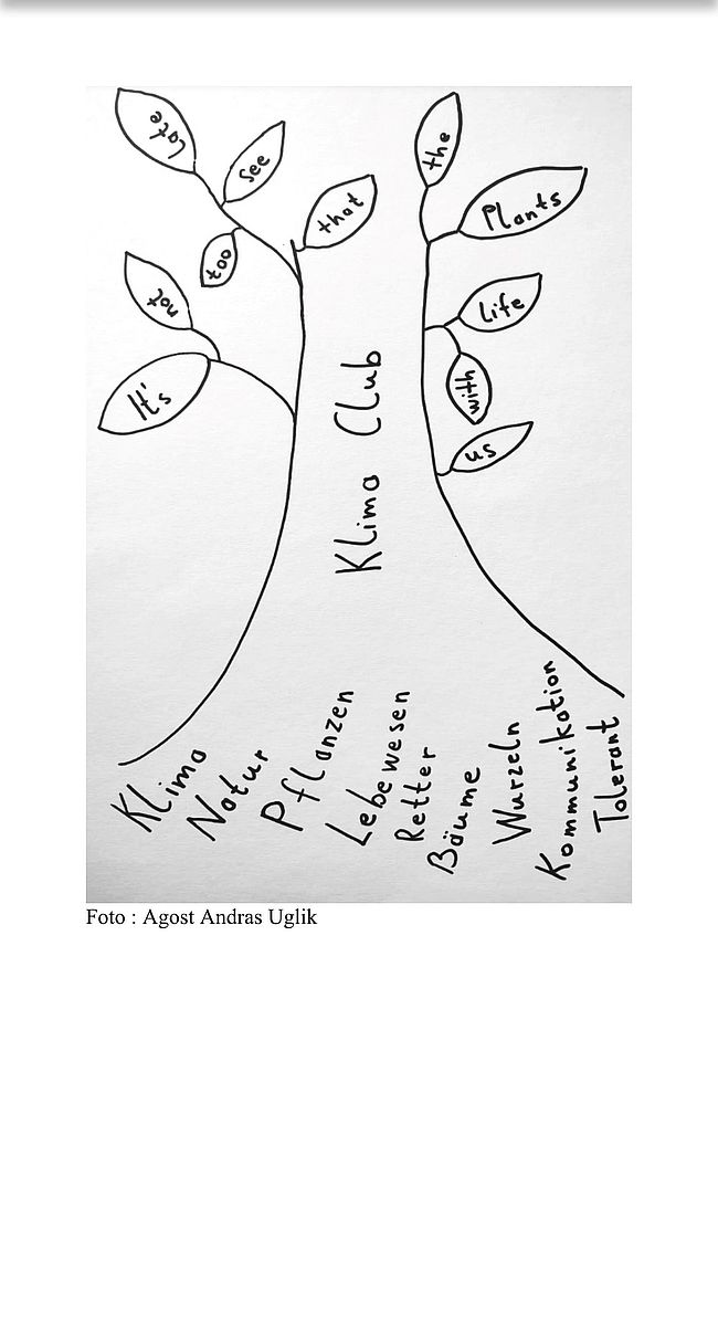 Es ist noch nicht zu spät, Ausonius-Gymnasium Kirchberg