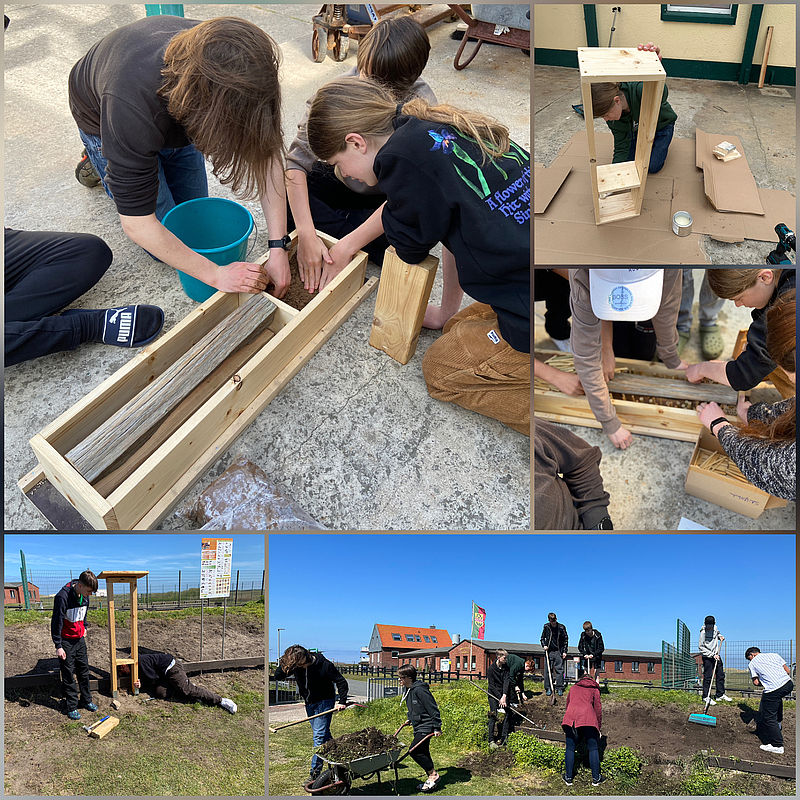 Eine Nisthilfe für Wildbienen