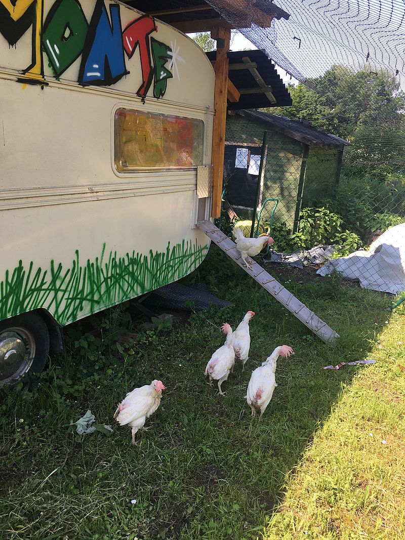 Spielerisch lernen die Kinder mehr über Tiere