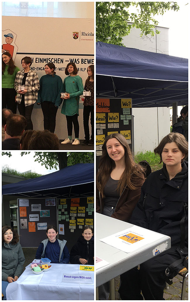 Mensch ärgere MICH nicht! Ein Memory-Spiel zum Thema Mobbing, Max-Slevogt-Gymnasium Landau