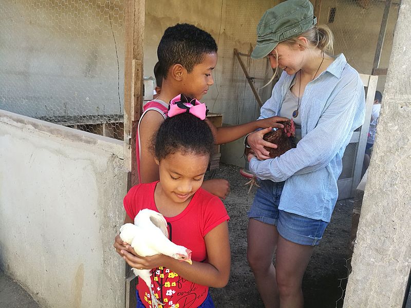 Interkulturelle Arbeit im Hühnerstall
