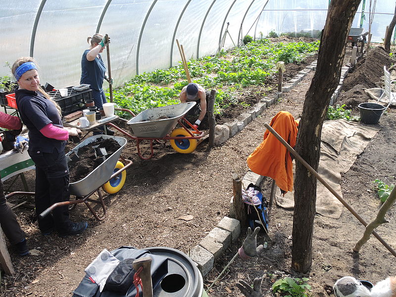 Arbeit im Gewächshaus der Permakkuluturgruppe