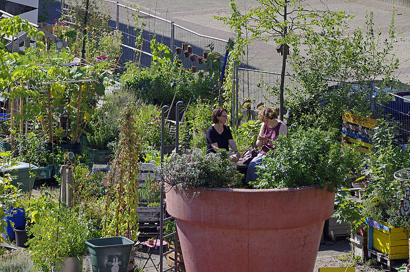 Kurze Pause im XXL- Blumentopf