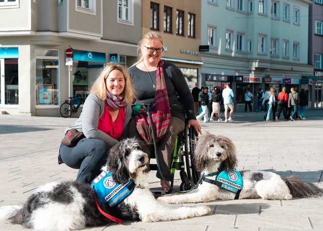 Hunde fürs Leben e.V.
