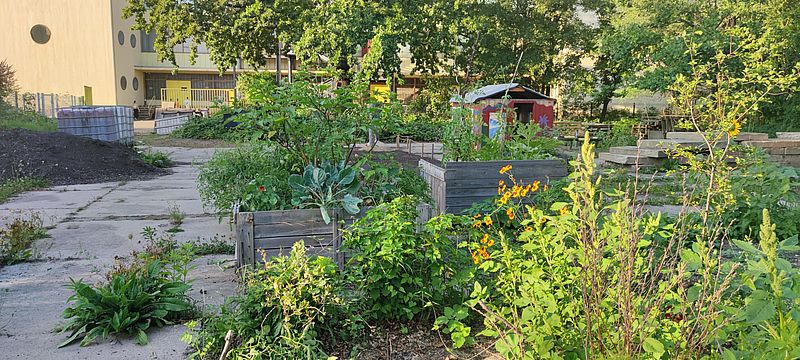 Erste Hochbeete begrünen die Fläche
