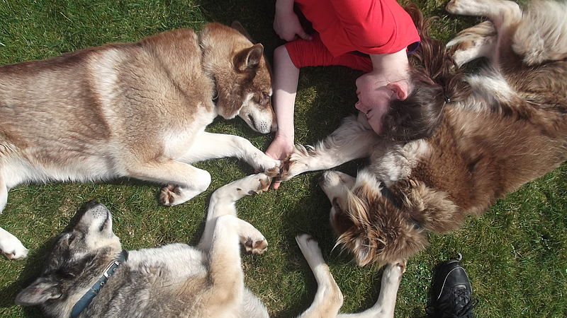 Momente wo der Hund die Seele der Menschen berührt.!