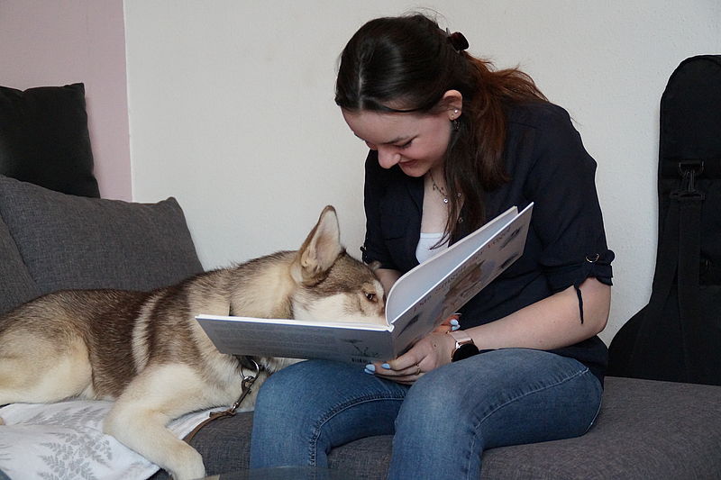 Bitte, bitte nochmal!